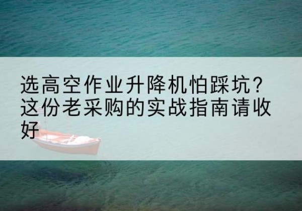 友好高空作业升降机厂家推荐-选高空作业升降机怕踩坑？这份老采购的实战指南请收好