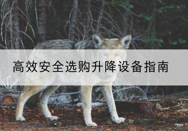 友好升降货梯厂家推荐-*安全选购升降设备指南