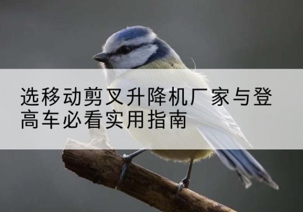友好电动升降机厂家-选移动剪叉升降机厂家与登高车必看实用指南