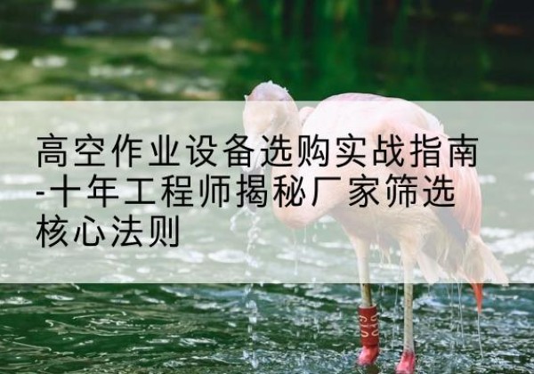 友好剪叉式升降机厂家-高空作业设备选购实战指南-十年工程师揭秘厂家筛选核心法则